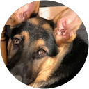 Cyrille Voisin profile picture