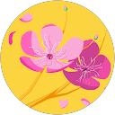 KARINE PETIT profile picture
